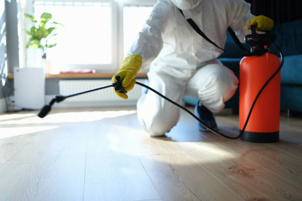 Trusted Sewage Cleanup service in West Milton, OH - Four Month Blood Cleanse